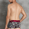 Трусы-хипсы Doreanse Wild Tiger