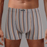 Классические трусы-боксеры в полоску