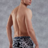 Мужские боксеры Doreanse Rococo