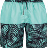 Мужские шорты для плавания с принтом в виде пальмовых листьев Doreanse