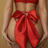 Красные трусики с большим атласным бантом сзади Красные трусики с большим атласным бантом сзади