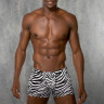 Трусы-боксеры Doreanse Zebra