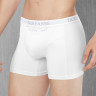 Мужские трусы-боксеры с горизонтальным гульфиком Doreanse Cotton Premium
