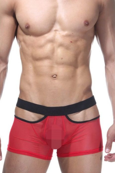 Откровенные трусы-боксеры из полупрозрачной ткани 