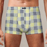 Мужские трусы-боксеры в цветную клетку