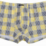 Мужские трусы-боксеры в цветную клетку