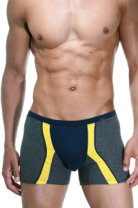 Серо-синие трусы-боксеры со вставками Doreanse Supporters Boxer