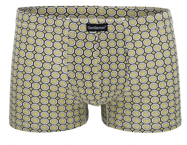 Мужские трусы-шорты с принтом в виде сот 